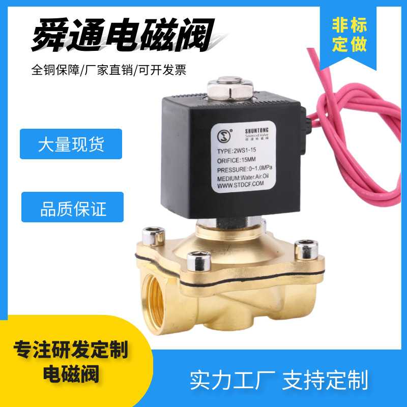 2WS1-15电磁阀引线常压膜片AC220V4分进水常温DN15-DN25阀\