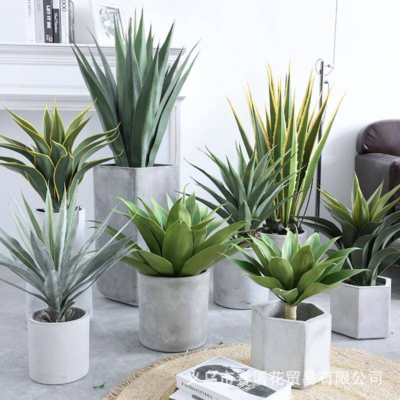 【折扣价】仿真绿植盆景剑麻大叶剑兰沙漠植物热带橱窗造景装饰假
