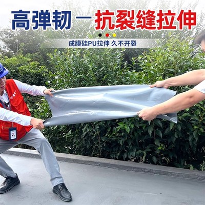 脲不湿防水涂料屋顶专用户外楼房顶室外墙面鱼水池聚氨酯补漏材料