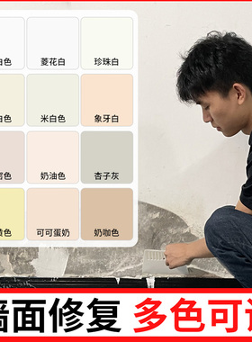 菱花白修补膏米白色珍珠白乳胶漆补白墙面修复补墙膏彩色可调补漆