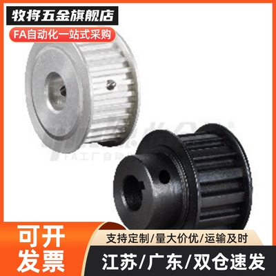 同步带轮TTPA16/20/22/24/25/28/30 T10150/200/250/300-A-P/N同