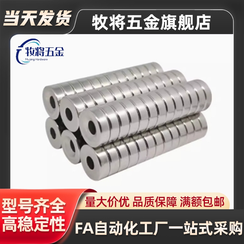 磁铁 BLS01-D1/D2/D3/D4-L1/L2/L3/L4/L5/L6/L8/L10