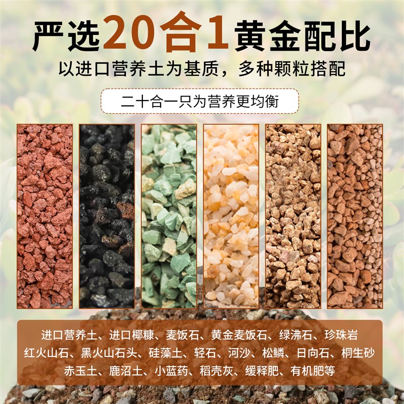 多肉专用颗粒土营养土小苗老桩土专用土泥炭种植土壤纯铺面石肥料