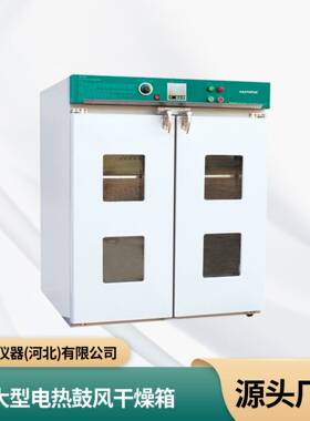 DGF系列大型电热鼓风干燥箱
