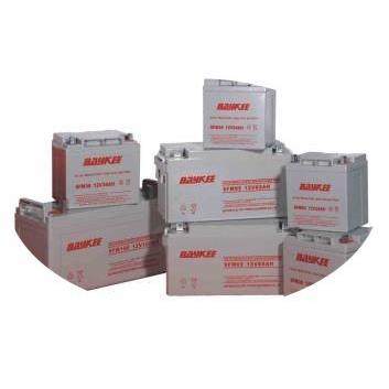 柏克BAYKEE蓄电池6FM1712V17AH铅酸电瓶,居家布艺,入户地垫,淘宝优惠券,粉丝福利购,淘宝优惠卷