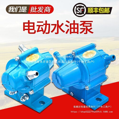 晶体管电磁式电动油泵24v12v五十铃汽车货车水泵柴油泵外置抽油泵
