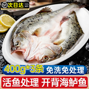 开背海鲈鱼新鲜冷冻烤鱼半成品400g*3非有鱼妖预制菜清江清蒸鲈鱼