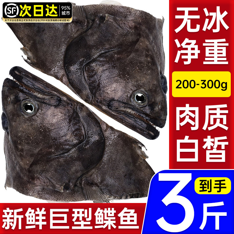 鸦片鱼碟鱼头新鲜冷冻特大深海鲽鱼身整条蝶鱼邪片比目鱼雅片鱼