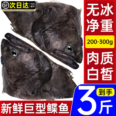 鸦片鱼碟鱼头新鲜冷冻特大深海鲽
