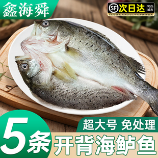 清蒸海鲈鱼深海野生特大新鲜活三去开背白蕉七星海鲈鱼预制菜商用