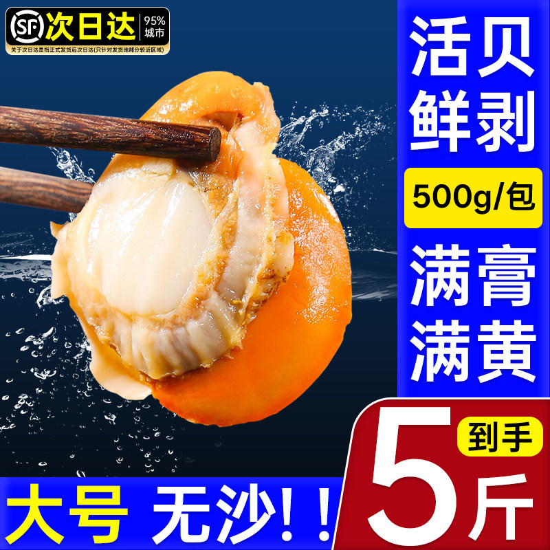 新鲜冷冻大号无沙扇贝肉5斤