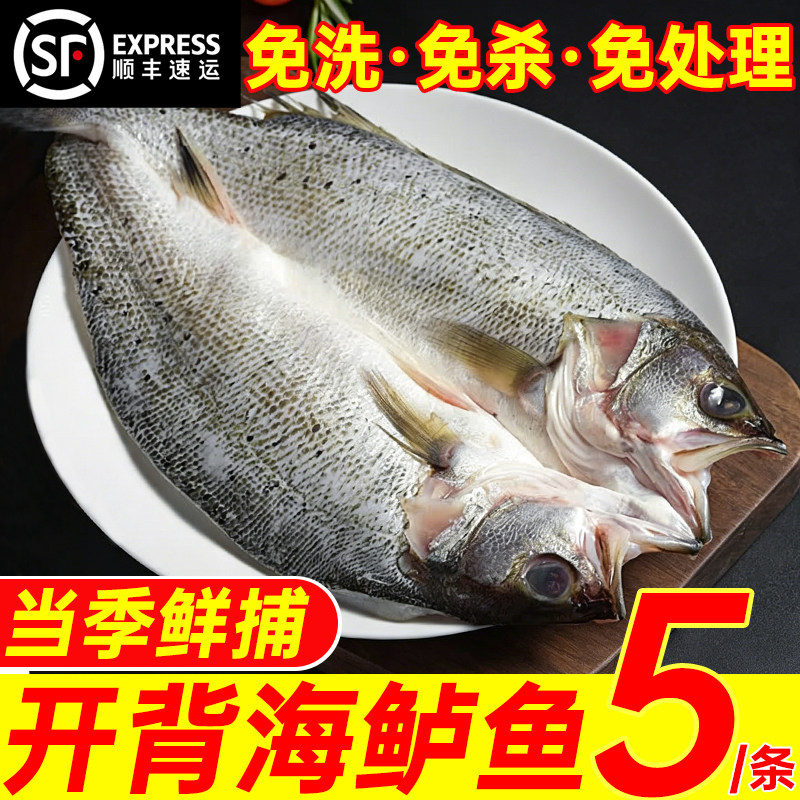 海鲈鱼新鲜冷冻烤鱼半成品清蒸预制菜开背清水鲜活鲈鱼官方旗舰店