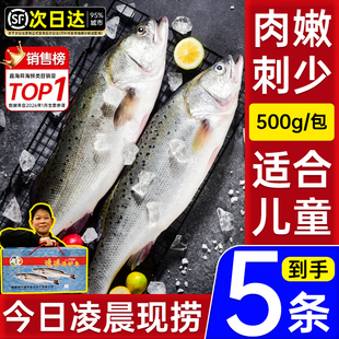 清蒸鲈鱼特大新鲜非活鱼到家海捕野生七星白蕉礼盒年货送礼伴手礼