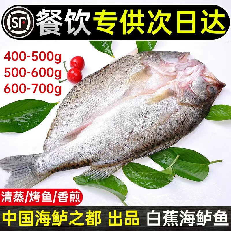 海鲈鱼开背新货鲜冻海鱼冷冻烤鱼深海鱼白蕉卢鱼半成品商用批发