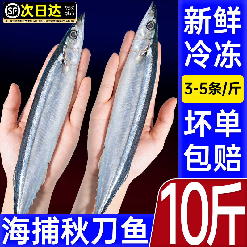 正宗秋刀鱼新货鲜整箱10斤烧烤图片