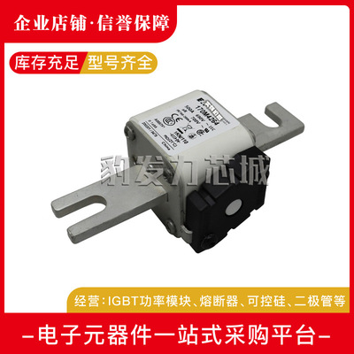 170M4313 170M4314 170M4315 170M4316 170M4317 170M4318熔断器