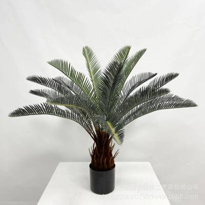 仿真铁树假绿植盆栽室内外落地庭院植物装饰树苏铁树盆景摆件