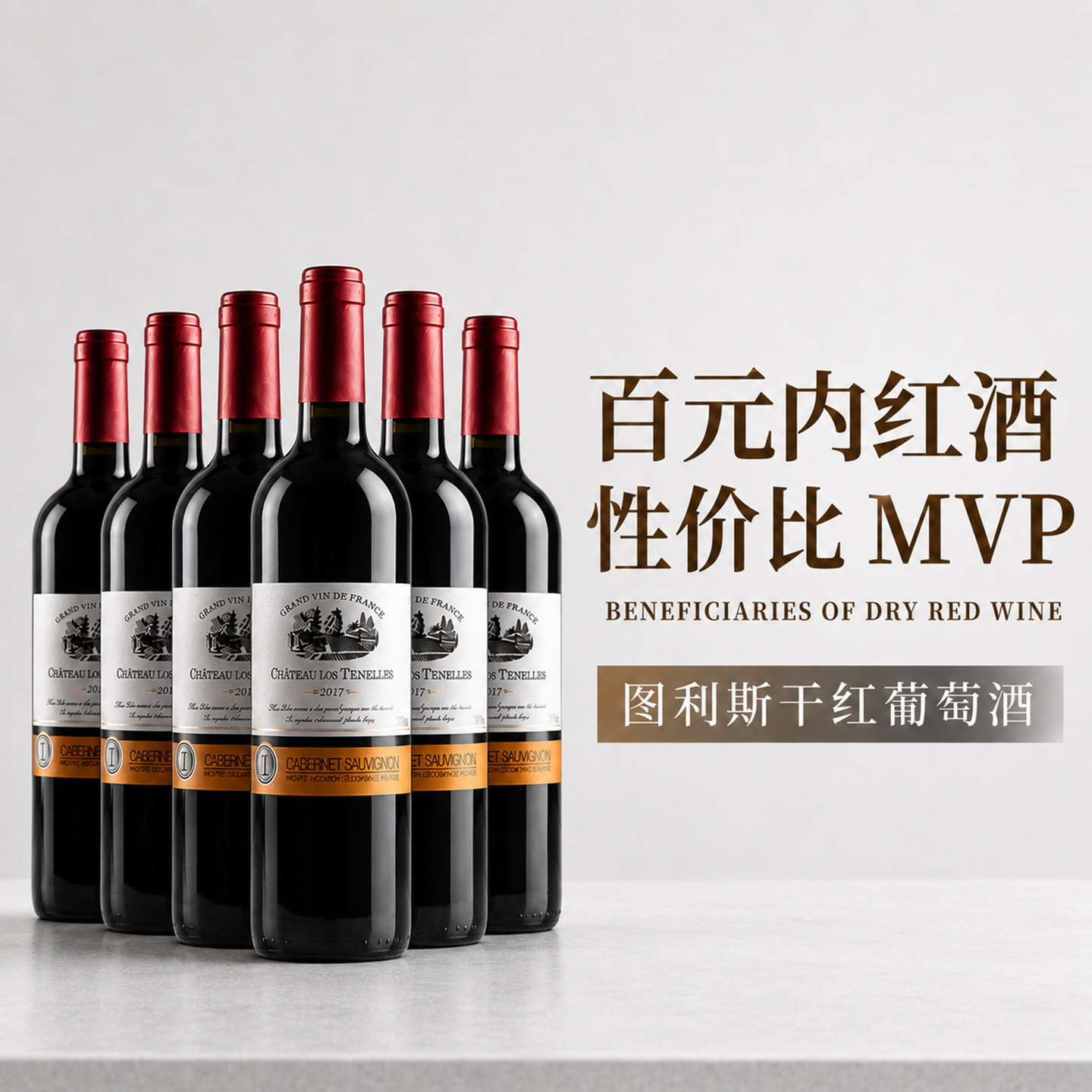 拉蒙塔尼法国原酒进口红酒12.5度赤霞珠干红葡萄酒中秋送礼整箱装
