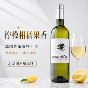 法国原瓶进口白葡萄酒干白葡萄酒11度白玉霓混酿女生微醺晚安酒