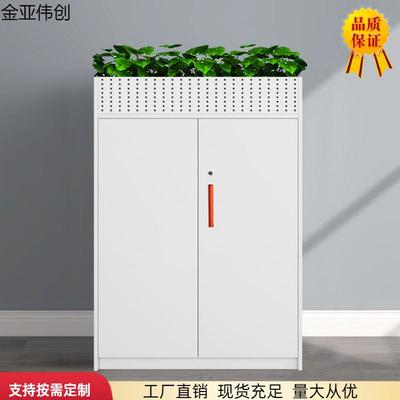 金亚伟创简约现代文件柜花坛柜储物柜资料柜小巧收纳钢制家具