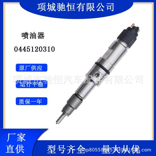 共轨喷油器0445120310喷油器适配东风十堰DCT11-EDC7