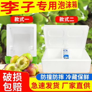 李子泡沫箱快递专用保鲜冷藏水果枇杷泡沫箱斤5斤装保温