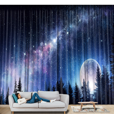 全遮台厅空网红背景窗帘客星卧室隔音帘飘窗落地窗阳光遮光布