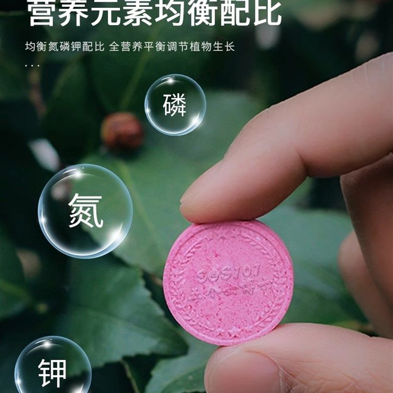 植物营养缓释片家庭多肉缓释肥通用型氮磷钾缓释片室内养花花卉盆,鲜花速递/花卉仿真/绿植园艺,介质/营养土,淘宝优惠券,粉丝福利购,淘宝优惠卷