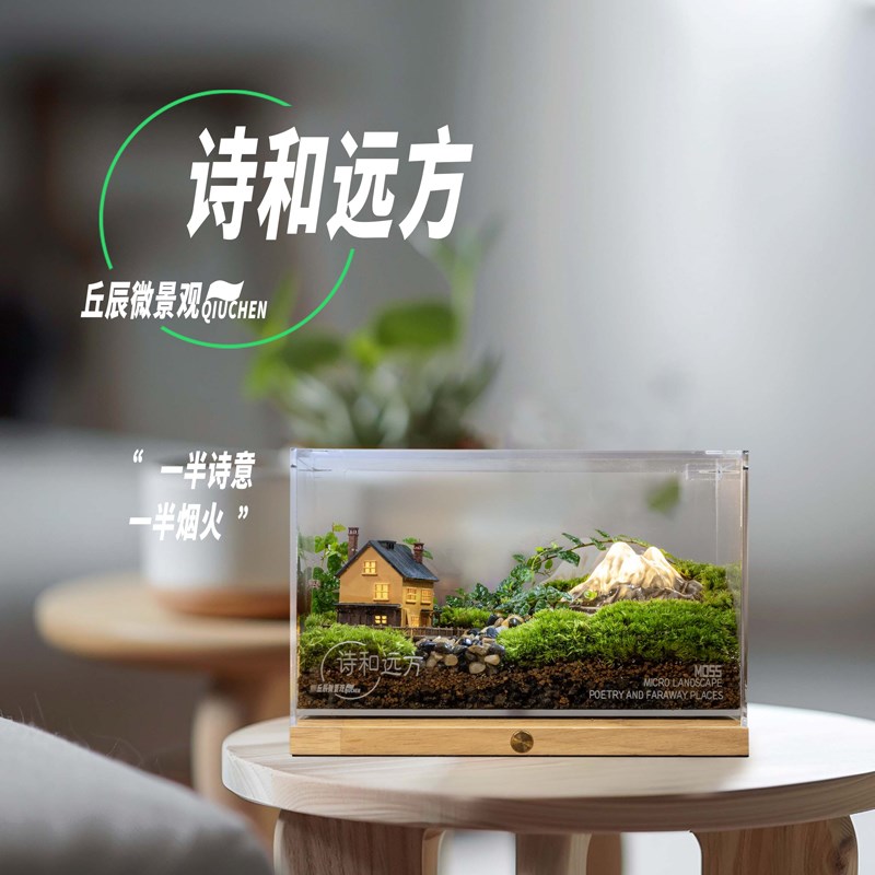 丘辰苔藓微景观生态瓶内桌面摆件客厅绿植盆栽男女礼物