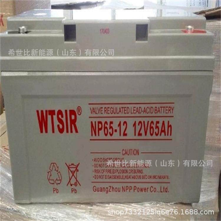 WTSIR维塔斯蓄电池NP120-1212V120AH太阳能光伏发电储能系统