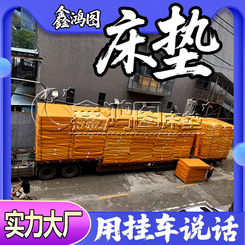民宿酒店学生宿舍环保棕椰棕垫子加厚偏硬棕榈寝室上下铺榻榻米