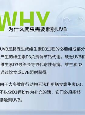 【折扣价】新派宠物爬虫UVB灯泡5.010.0爬宠太阳灯管蜥蜴晒背补钙