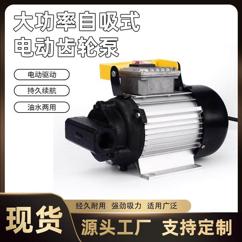 诺安得机油泵220v大功率自吸电动齿轮泵液压油齿轮油机油小型油泵