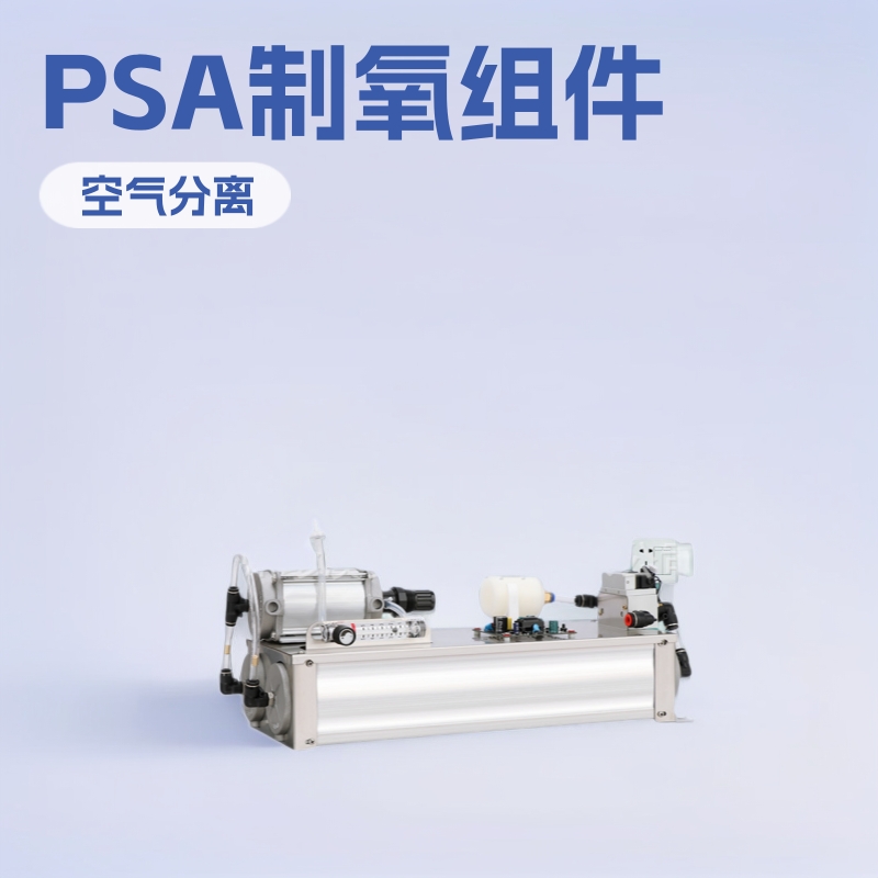 3升5升10升PSA制氧分子筛AB塔单元组件臭氧机配件3L5L10L制氧系统