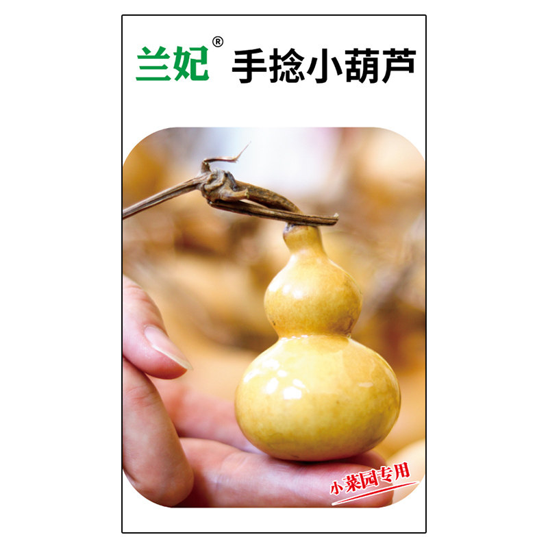 兰妃手捻小葫芦种子文玩葫芦种子