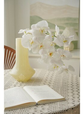花曌 白色蝴蝶兰鲜花真养蝴蝶兰鲜切花家居瓶插花瓶全国
