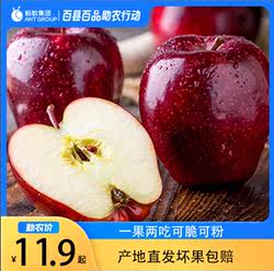 甘肃礼县花牛苹果蛇红果面粉脆沙甜苹果新鲜水果整箱包邮坏果包赔