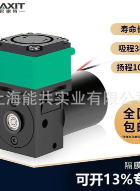 隔膜液泵小型水泵12V微型真空泵24V喷码打印机抽水泵耐腐蚀L08BL