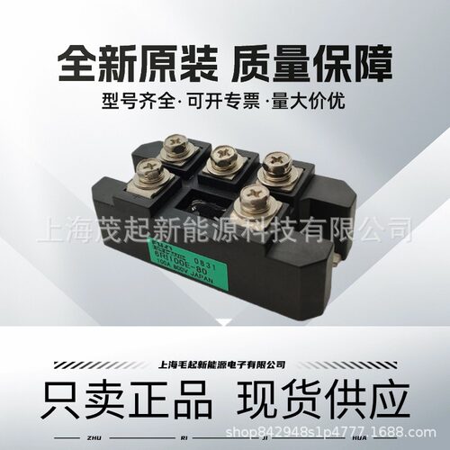 6RI100E-80 6RI30E-060 6RI100G-160 6RI50E-060 6RI75E-080