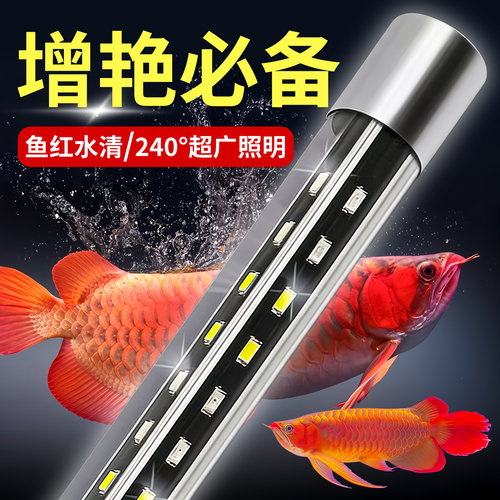 三基色专用防水灯氛围增艳照明