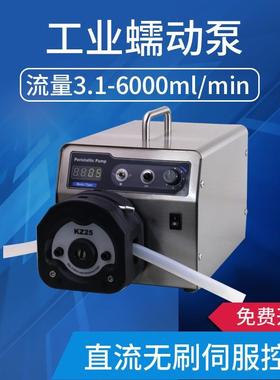 蠕动泵WT600-2J+KZ25化工制药调速型高精度多通道耐腐蚀