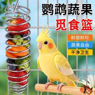鹦鹉鸟食器鸟觅食器喂食器不锈钢水果篮蔬菜玉米苹果叉玩具食物篮