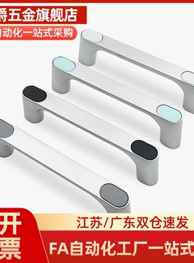 HHDG100/HHDGS100铝合金不锈钢带盖拉手XAE91-L100/XAE93-L100