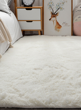 白色毛绒床边毯少女ns风拍照背景毯子客厅满铺长毛地垫