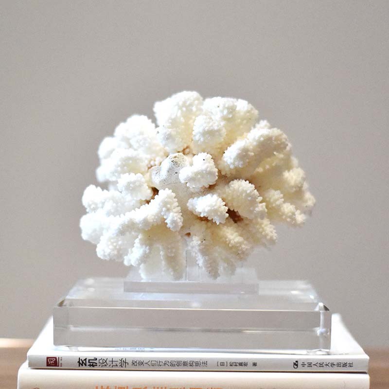 简约现客厅书柜电视柜天然白色珊瑚家居饰品桌面摆件