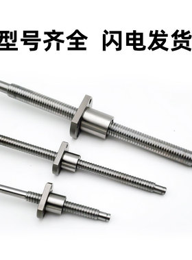珠型滚微丝杆SFK0601 0802 1002 1004 1202研磨精密丝杠电缸丝杆