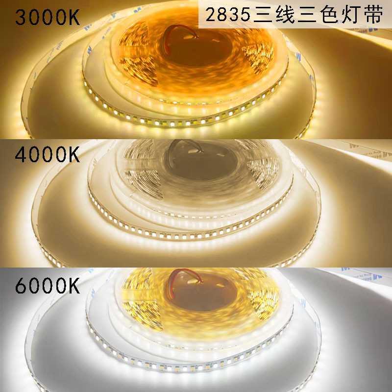 24V低压2835双色温三线三色高亮智能灯带8mm120灯10mm240灯192灯
