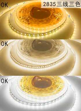 24V低压2835双色温三线三色高亮智能灯带8mm120灯10mm240灯192灯