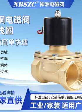 NBSZC 2W-50/小电磁阀 太阳能电磁阀排水进水电磁阀 AC220V多电压