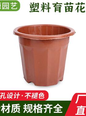 塑料胶花盆加厚耐用一次性种花育苗盆特大号小号植花盆直销